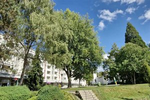 Familienfest der Volkspartei in Fischl. Foto: Mein Klagenfurt