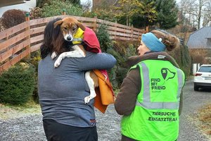 Hündin „Yeni“ nach 20 Stunden aus dem kalten Wörthersee gerettet. Foto: „Find my friend“-Suchhunde 