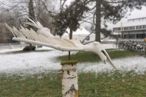 Drei Tage für den Frieden: Friedenstaube landete im Unipark. Foto: KK