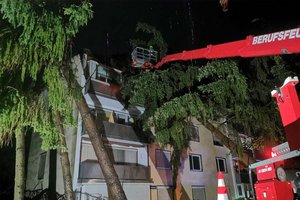 Ein Baum sürzte in Klagenfurt auf ein Wohnhaus. Foto: Berufsfeuerwehr Klagenfurt