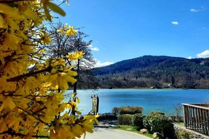 Der Frühling meldet sich mit warmen Temperaturen zurück. Foto: Mein Klagenfurt