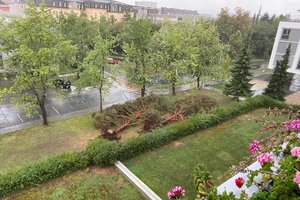 In der Enzenbergstraße haben Bäume einen Spielplatz begraben. Foto: zVg