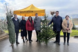 Hilfswerk Christbaum-Spendenaktion für Familien in Not. Foto: Büro LR Gruber/Posch