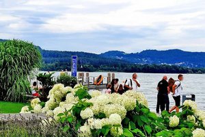 74-jähriger Rollstuhlfahrer stürzte in Reifnitz in den Wörthersee und ertrank. Foto: Mein Klagenfurt/Archiv