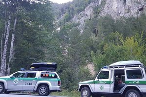 Gerettet: Hund stürzte 40 Meter tief in die Tscheppaschlucht. Foto: Bergrettung Ferlach