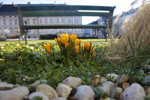 Frühlingserwachen in Klagenfurt. Foto: Mein Klagenfurt