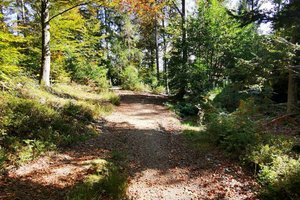 Die Naturfreunde Klagenfurt veranstalten am 16. Oktober zum zweiten Mal den Kreuzbergl-Lauf. Foto: Benjamin Hell