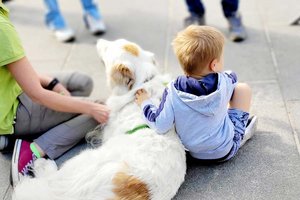 Kommt Hundefreilaufzone Innenstadt? Foto: Mein Klagenfurt