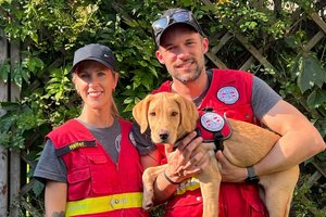 Rettungshundenachwuchs: Labrador „Iven“ jüngster Rettungshund. Foto: ÖRHB Staffel Villach