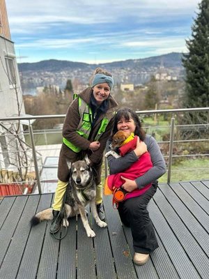 Die unterkühlte und etwas zerkratzte „Yeni“ konnte dank Spürnase „Noana“ wieder ihrem Frauchen übergeben werden. Foto: „Find my friend“-Suchhunde 