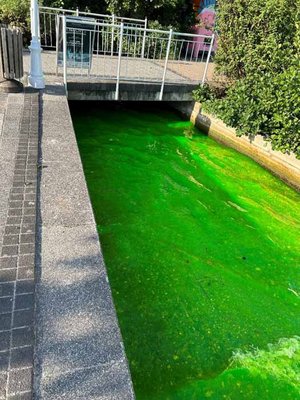 Unbekannte kippten grüne Farbe in den Pörtschacher Mühlbach. Foto: Polizei Kärnten