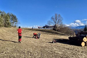 Forstunfall in Reifnitz. Foto: Bergrettung Klagenfurt