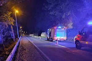 Felssturz auf die Wörthersee-Süduferstraße. Foto: FF Reifnitz