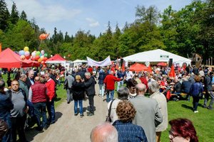 Das Familienfest auf der Spielwiese am Kreuzbergl findet heuer wieder statt. Foto: Thomas Hude