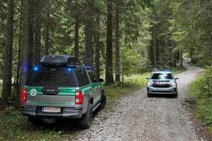 Gleitschirmpilot verfängt sich bei Ebenthal in zehn Metern Höhe in Baumkrone. Foto: Bergrettung Ferlach/Symbolbild