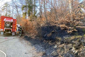 Trockenheit: Waldbrand im Westen von Viktring. Foto: Feuerwehr Viktring - Stein / Neudorf 