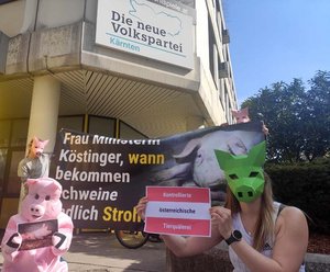 Schweineleid auf Vollspaltenboden: Tierschützer:innen protestierten vor ÖVP-Landeszentrale. Foto: VGT.at