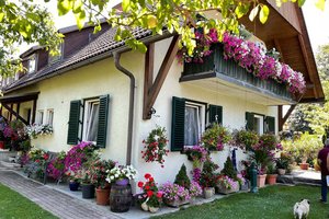 Schönster Blumenschmuck der Stadt gekürt. Foto: Gottlieb Selan